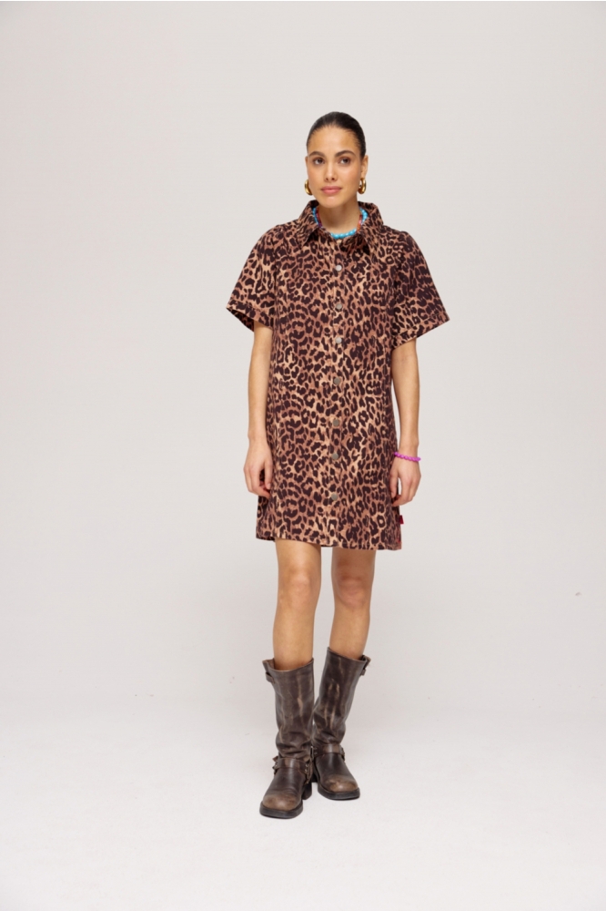 SARAH DR HS25R901 1101 lexie leopard